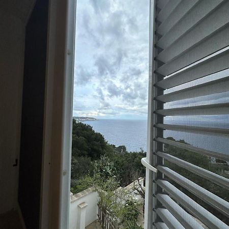 Castro  Belvedere المظهر الخارجي الصورة
