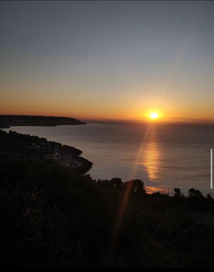 Castro  Belvedere المظهر الخارجي الصورة