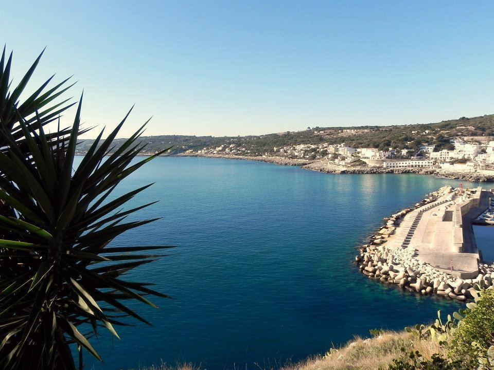 Castro  Belvedere المظهر الخارجي الصورة
